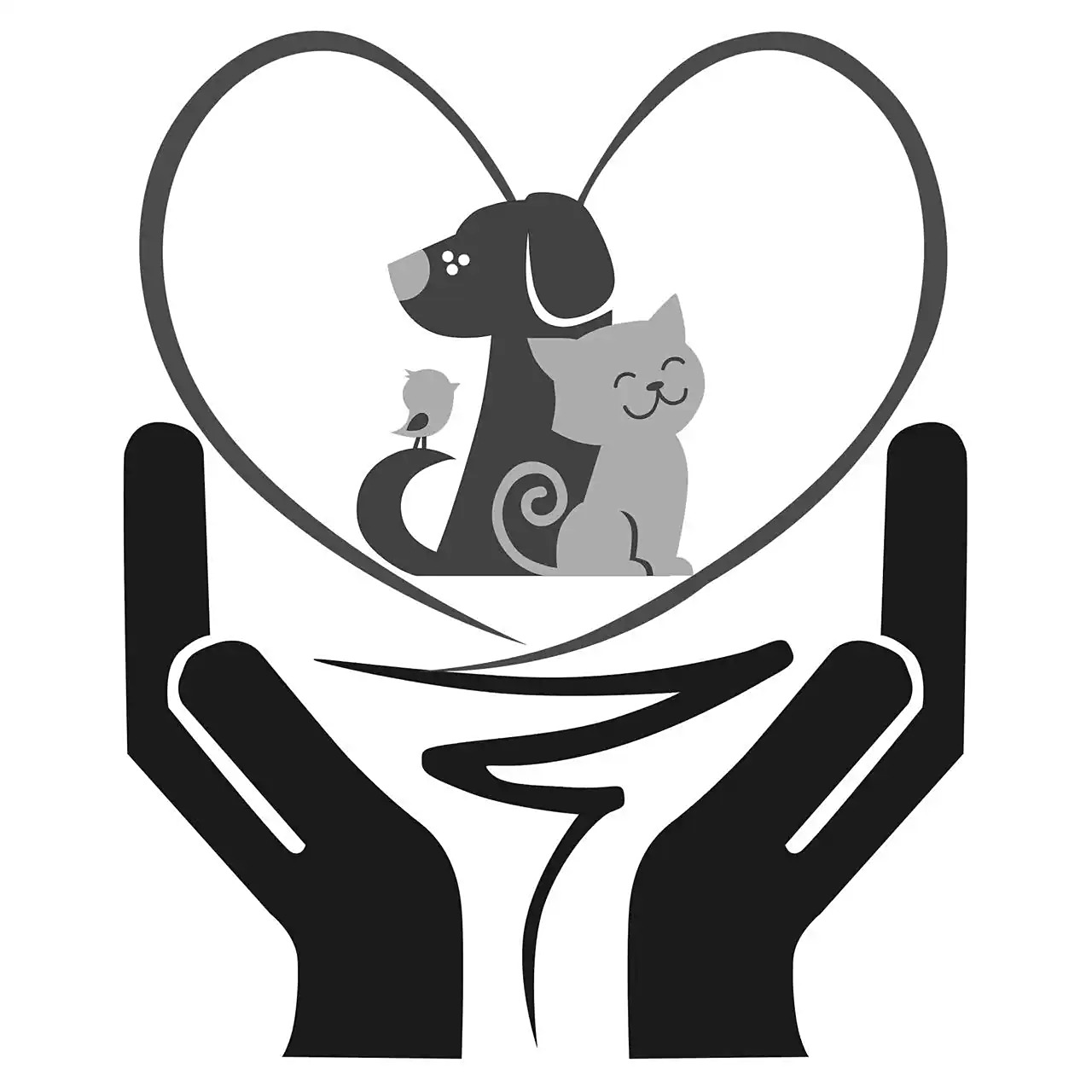 上海市普陀区彬彬宠物店