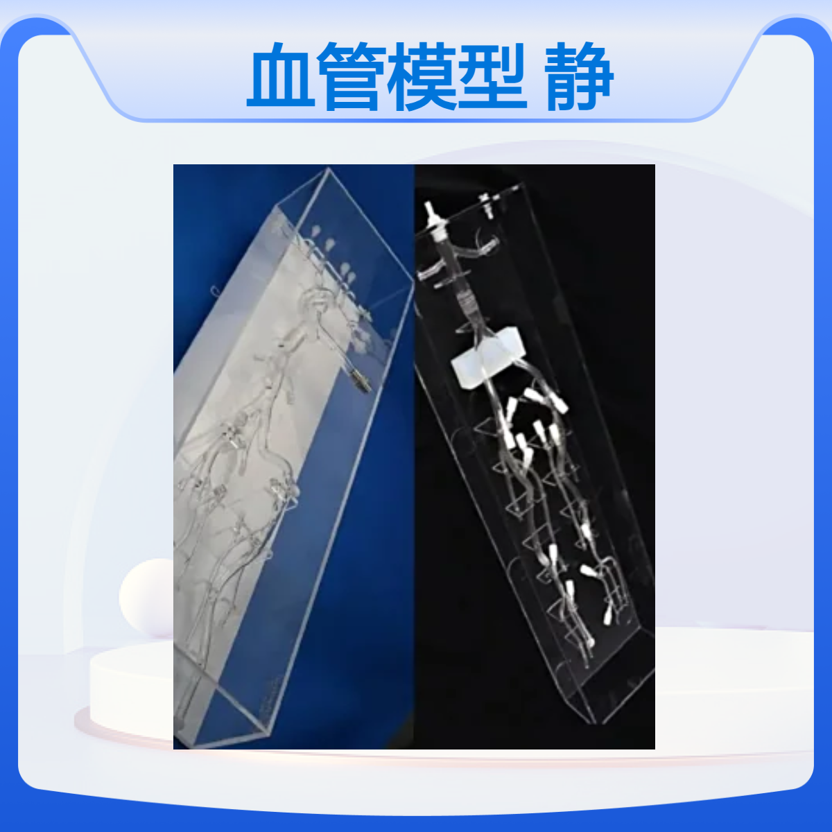 肝脏动脉介入血管模型上下腔静脉血管模型介训练模体定做