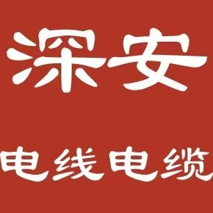 Jiangxi Shen'an Optoelectronics Co., Ltd - Company Logo