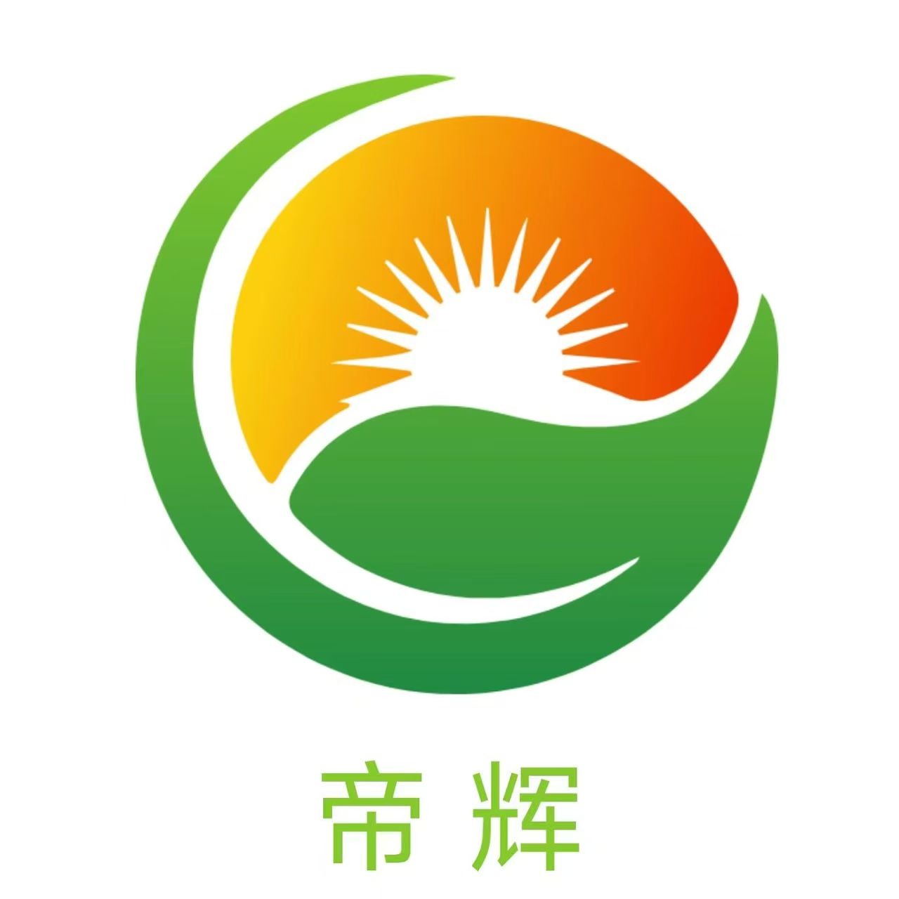 诸城帝辉环保科技有限公司