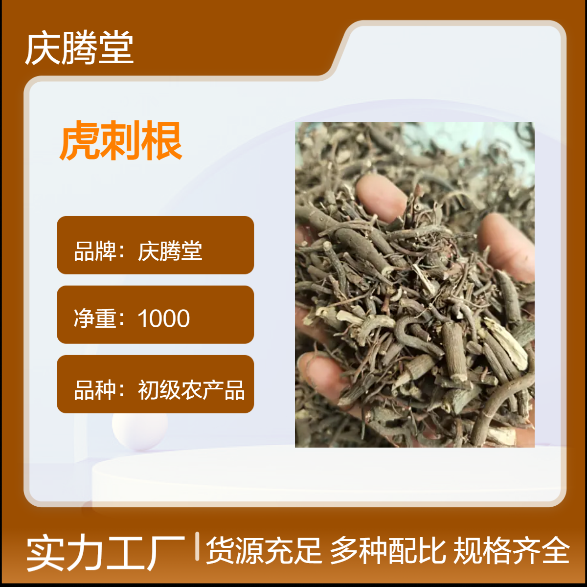 庆腾堂 批发 虎刺根 当年新货 无硫 自然晒干 品质好
