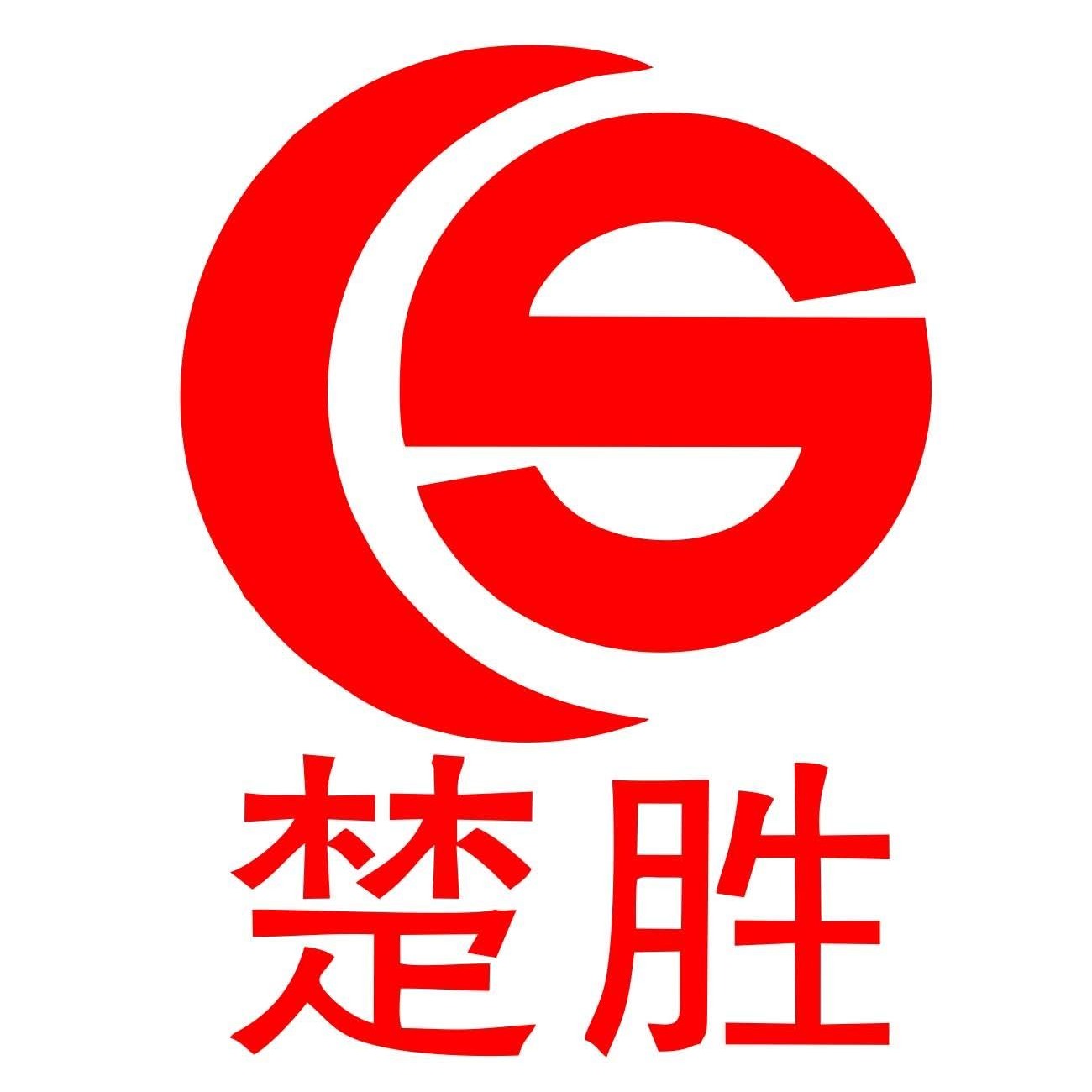 楚胜汽车集团有限公司