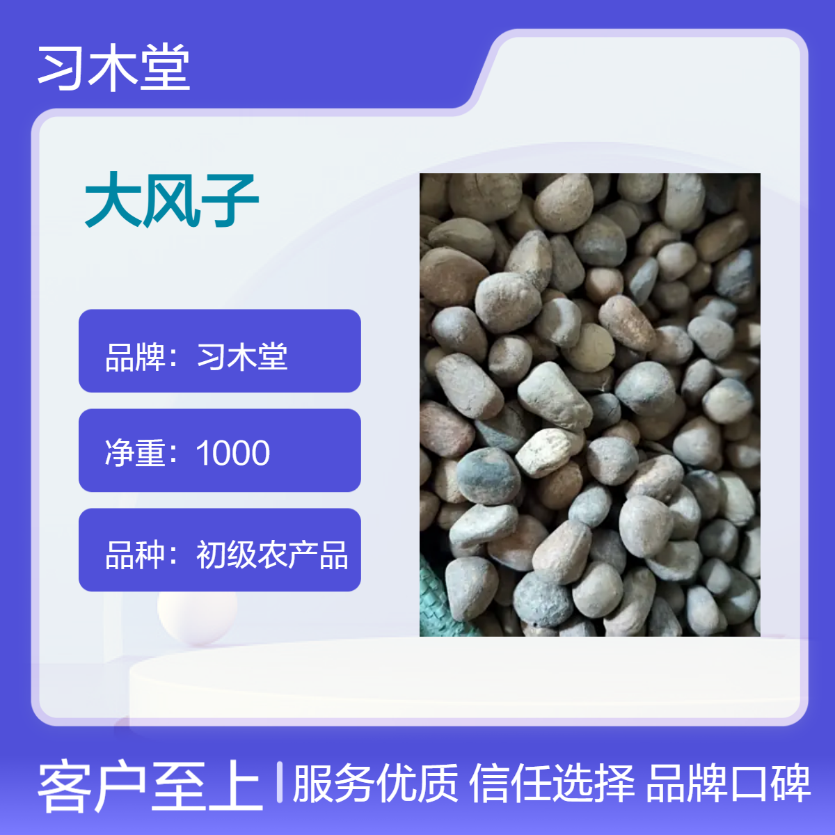 中药材 大风子 产地直售 各种规格 新货 无硫 保质保量