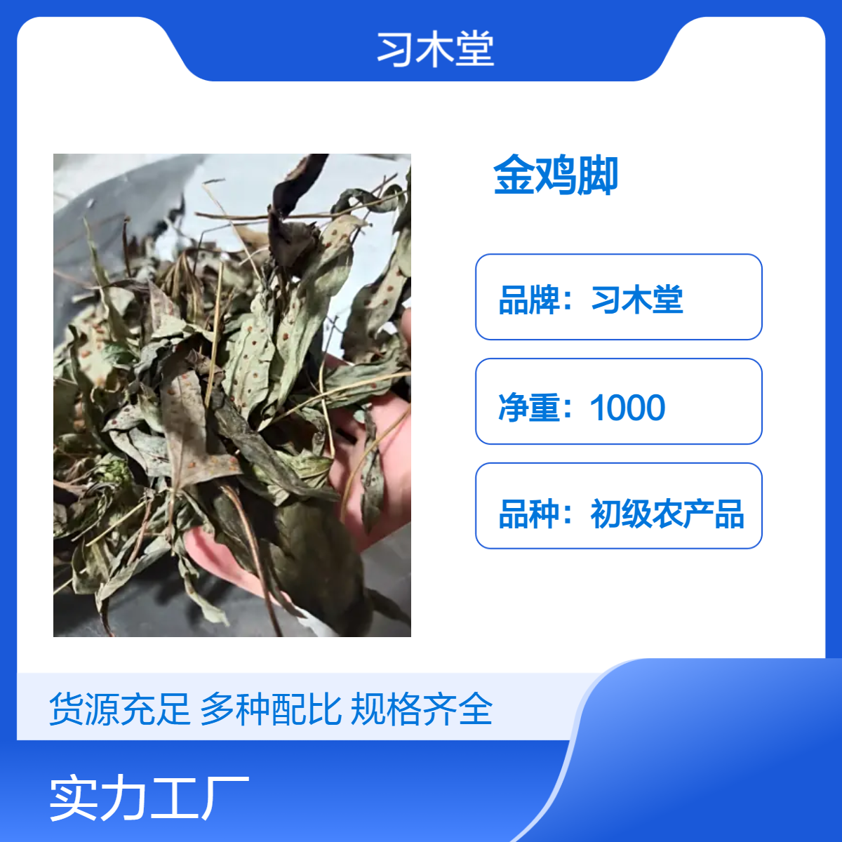 供应中药材 金鸡脚 鱼鳖草 鸡眼草 新货 无硫 自然晒干