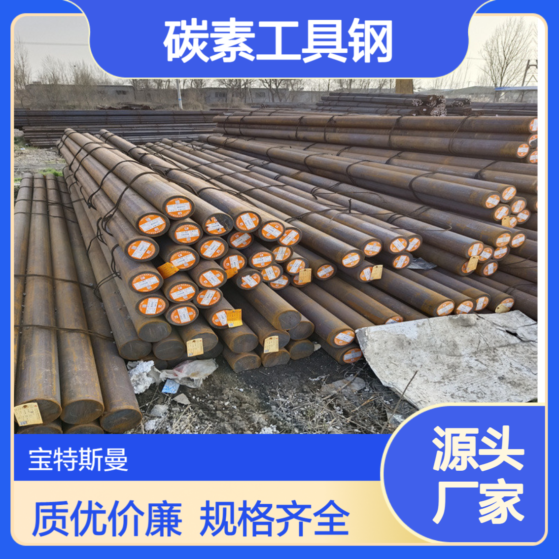 碳素工具钢 A686-92 TypeW2锻件圆棒 直径尺寸多样