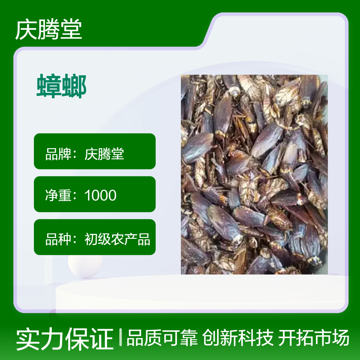 蟑螂 蜣螂 鹿骨 无硫 新货 自然晒干 品质好 产地直售