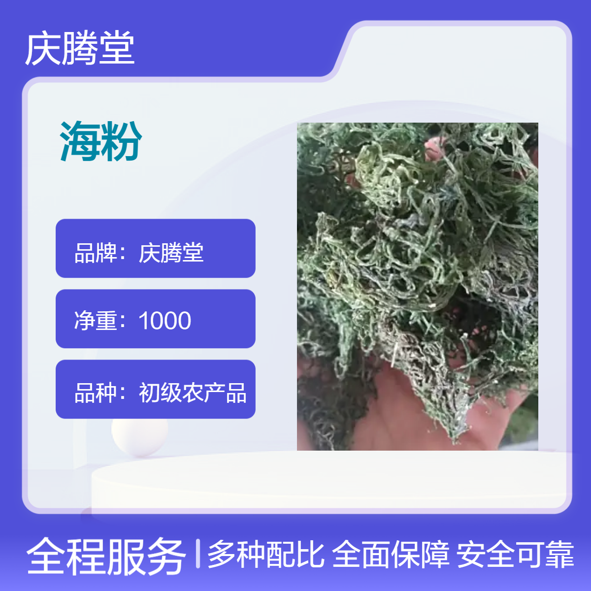 批发 中药材 海粉 海燕 海马 新货 无硫 烘干品质 正宗