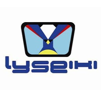 北京联英精机科技有限公司 - 公司logo