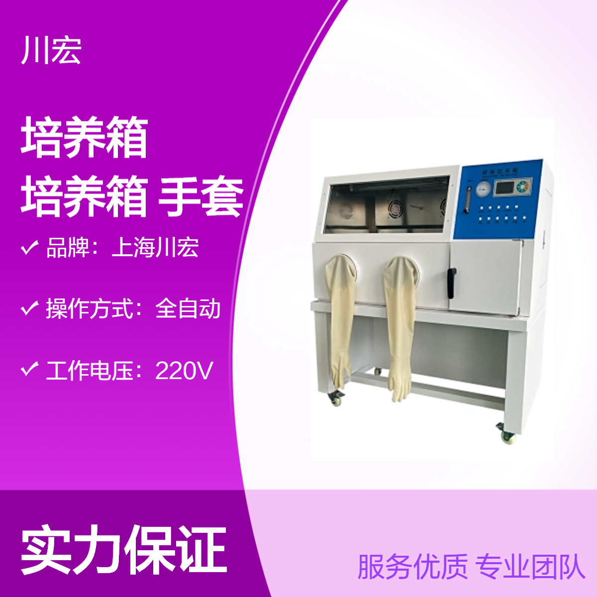 厌氧培养箱 YQX-II 真空微需氧细菌培养手套装置