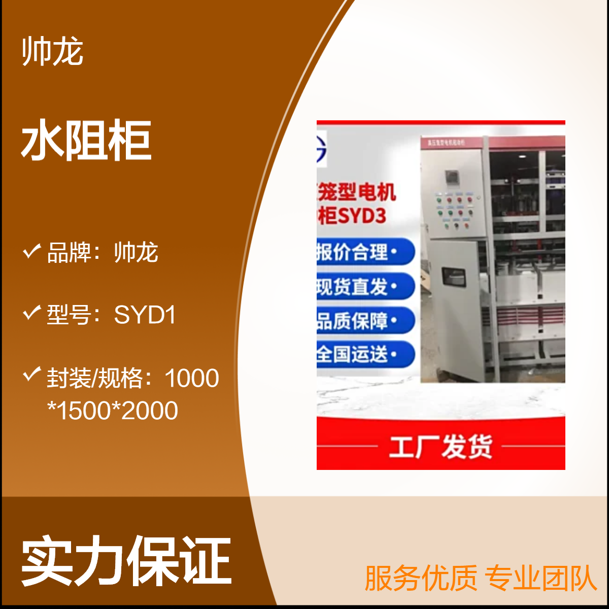 帅龙机电 高压电机起动柜 水阻柜SYD3 经济实惠控制柜