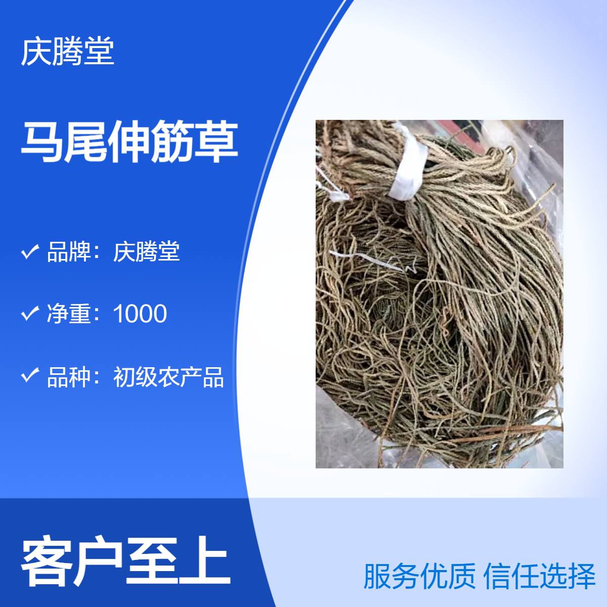 庆腾堂 马尾伸筋草 批发 新货 无硫 精选 1000g 初级农产品