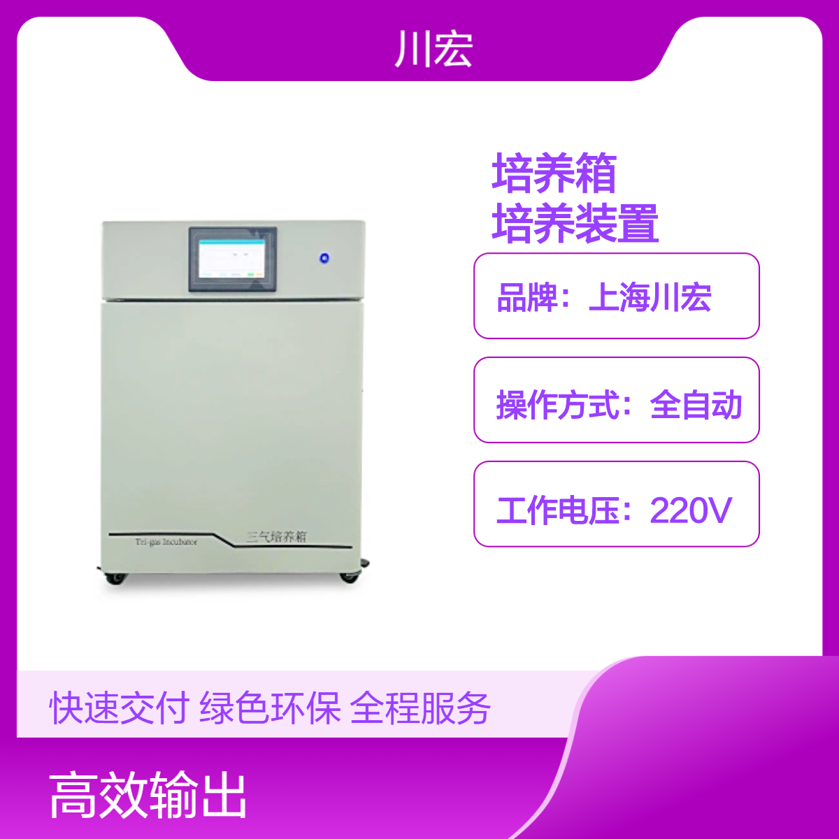 三气培养箱 CHSQ-50-III 低氧微生物细胞培养装置