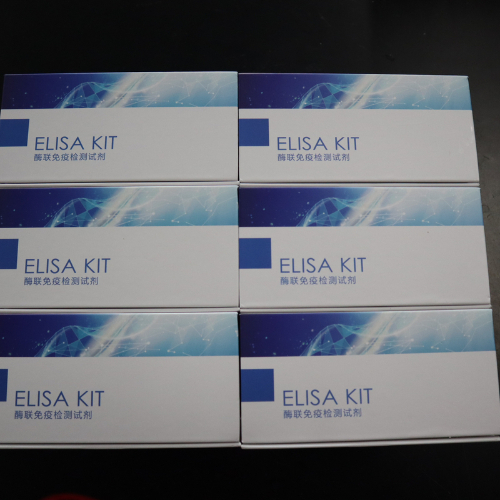 ELISA试剂盒的标准品如何制备和使用