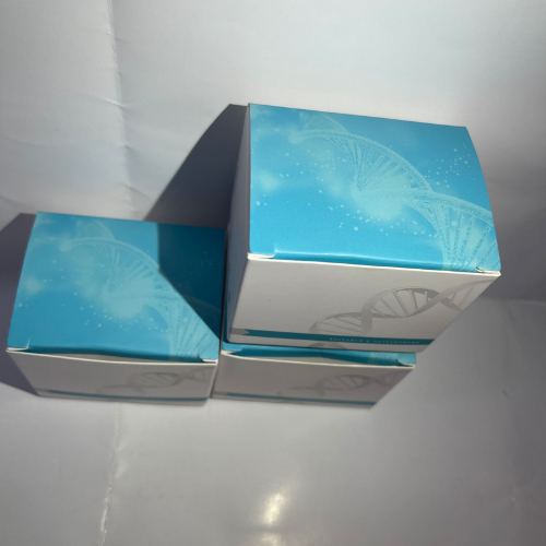 PCR检测试剂盒的检测时间大概是多久