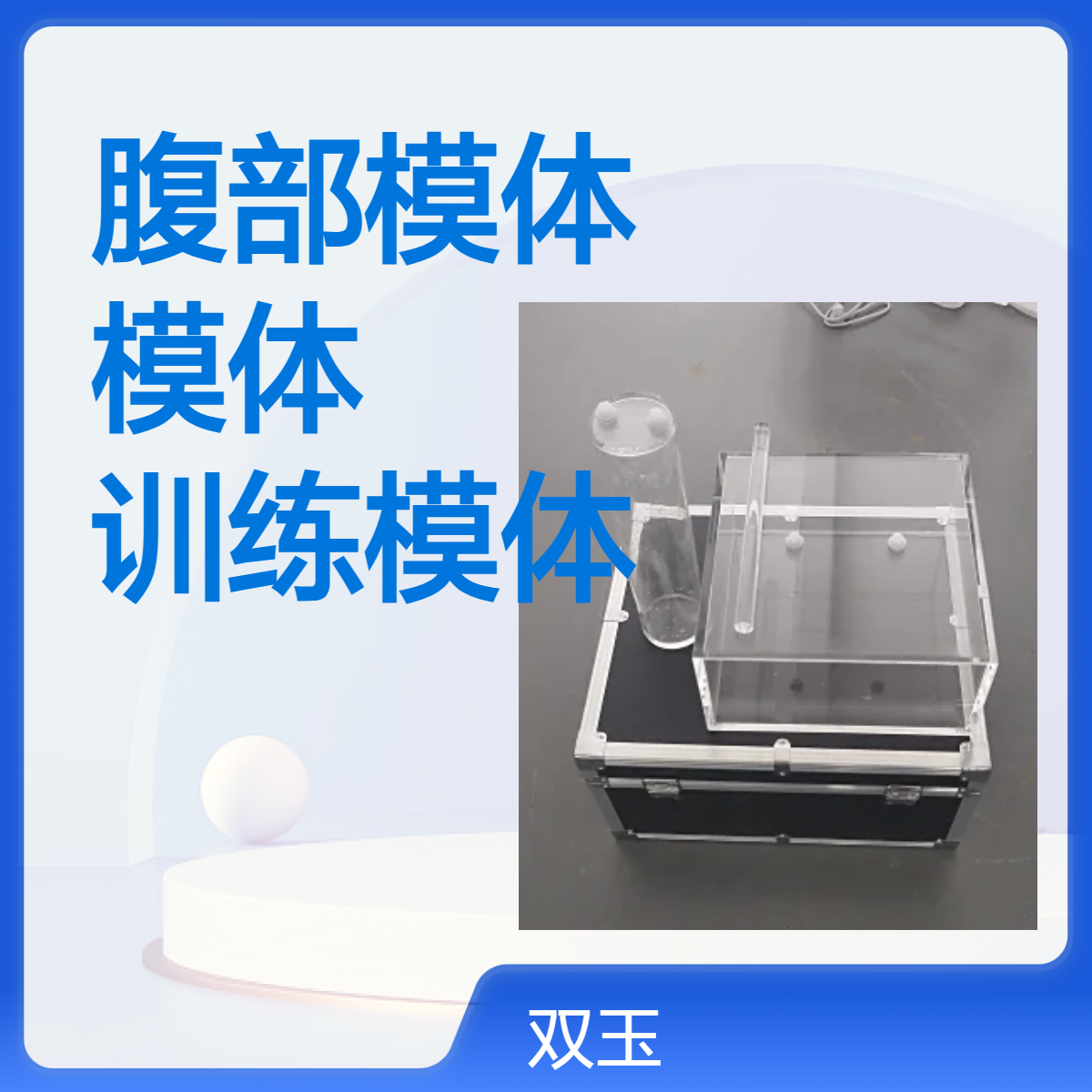 穿刺介入腹部模体腹部穿刺模体3D腹部穿刺演示训练模体