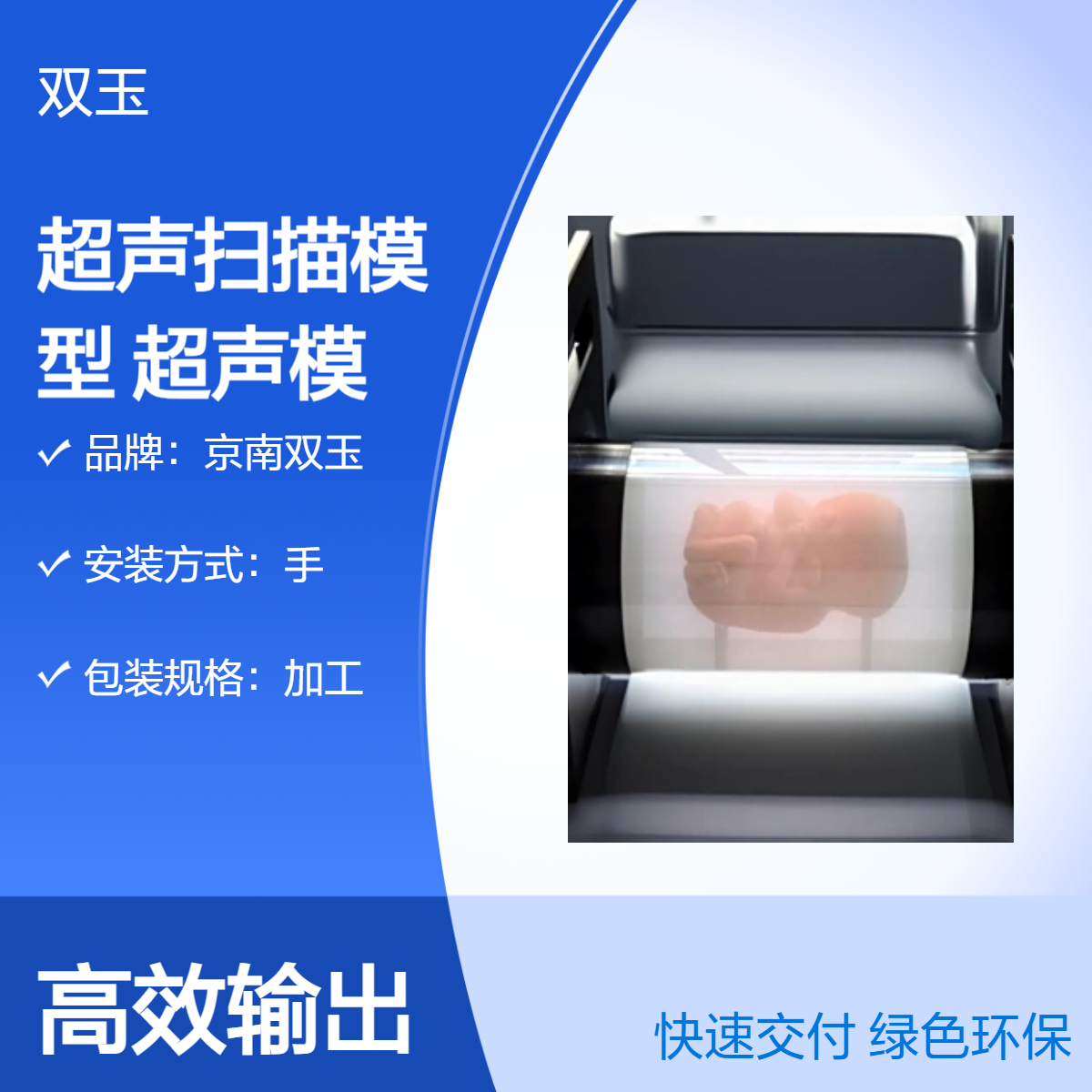胎超声扫描模型定制3D胎儿超声模体定做加工超声体模
