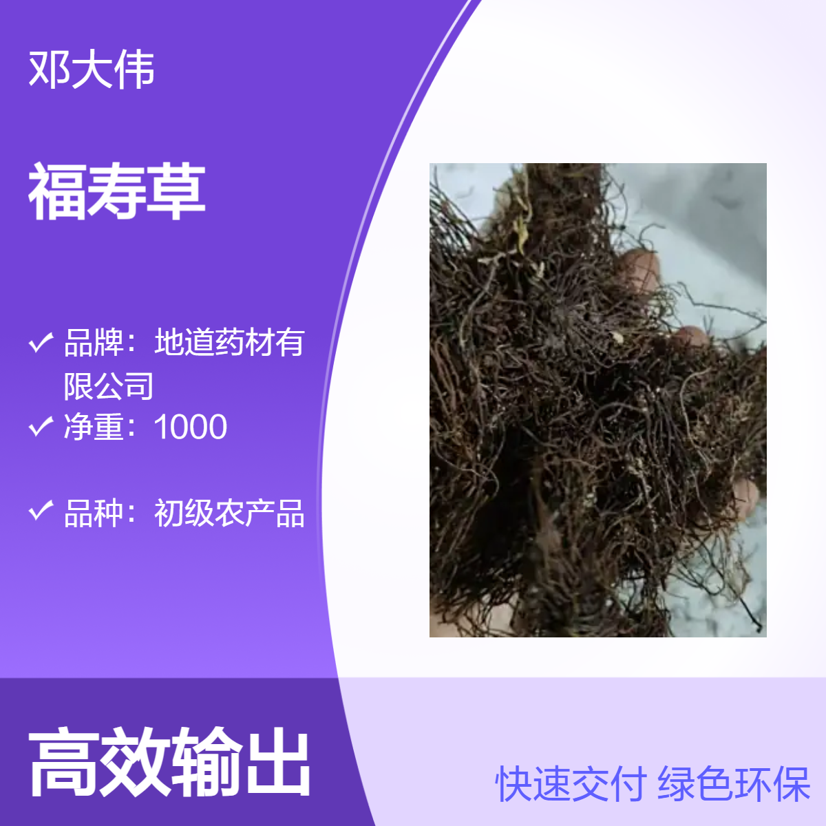 原色福寿草供应散装袋装 阴凉干燥储存 优选原药材 保质36个月