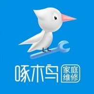 重庆啄木鸟网络科技有限公司
