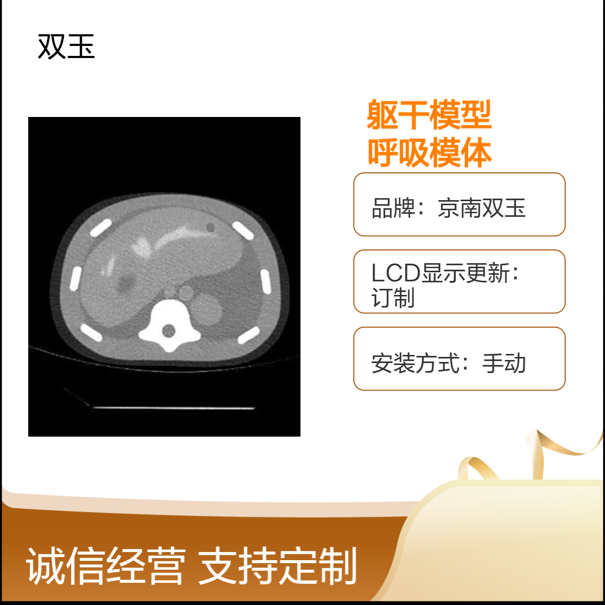 肺部运动CT模型核磁超声胸部扫描躯干模型订制呼吸模体定做