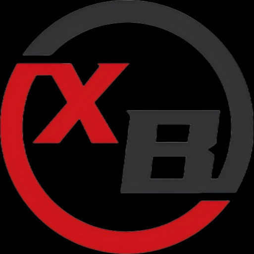聊城讯波电子科技有限公司 - 公司logo
