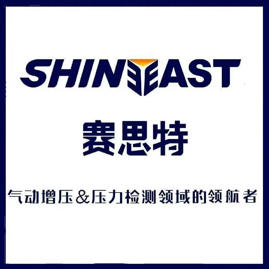 山东赛思特流体控制系统有限公司 - 公司logo