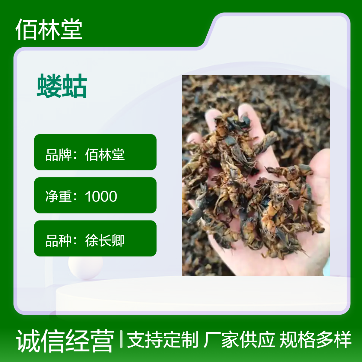 佰林堂一级徐长卿蝼蛄1000g 阴凉干燥储存 初级农产品