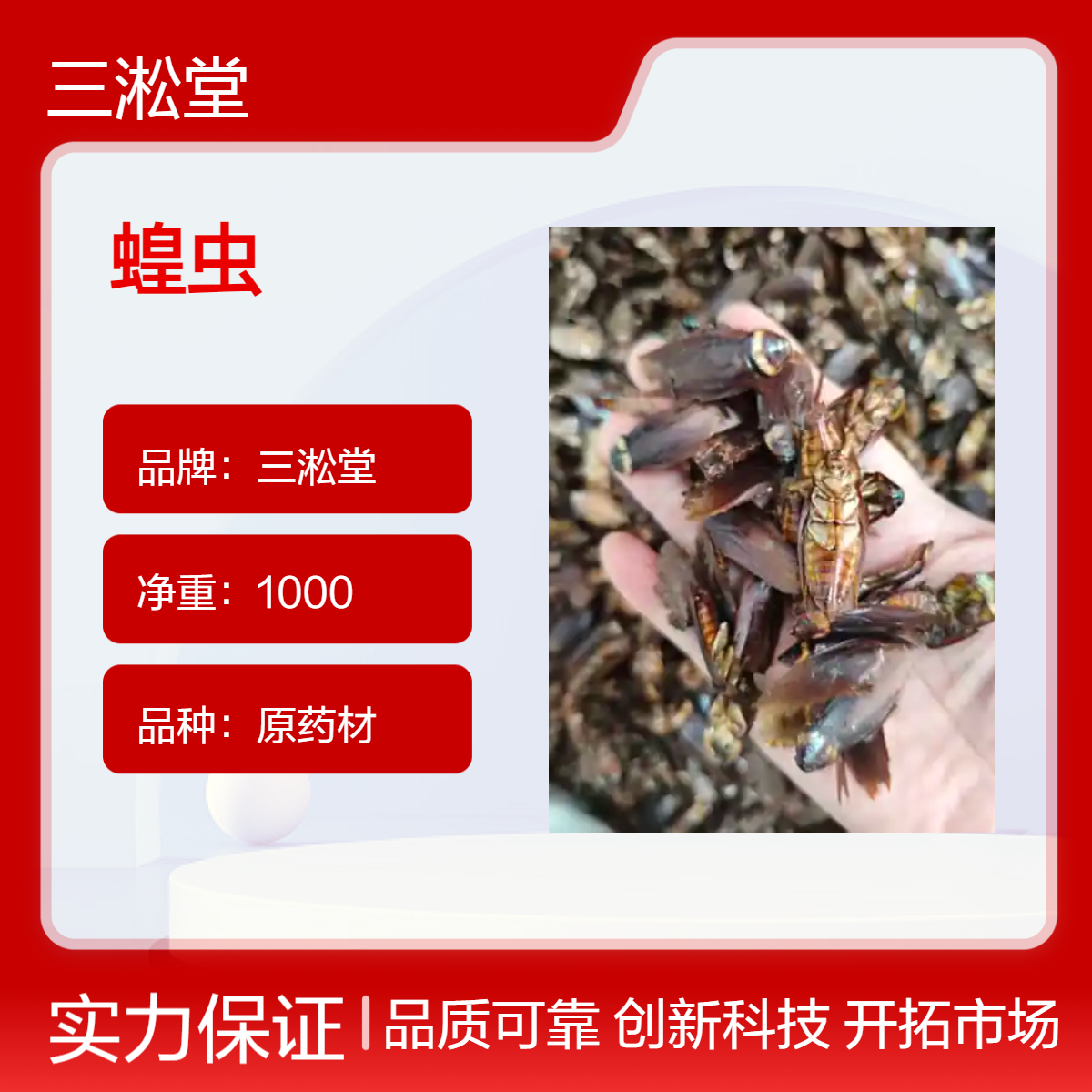 三淞堂一级蝗虫原药材 1000g净重 阴凉干燥储存 初级农产品