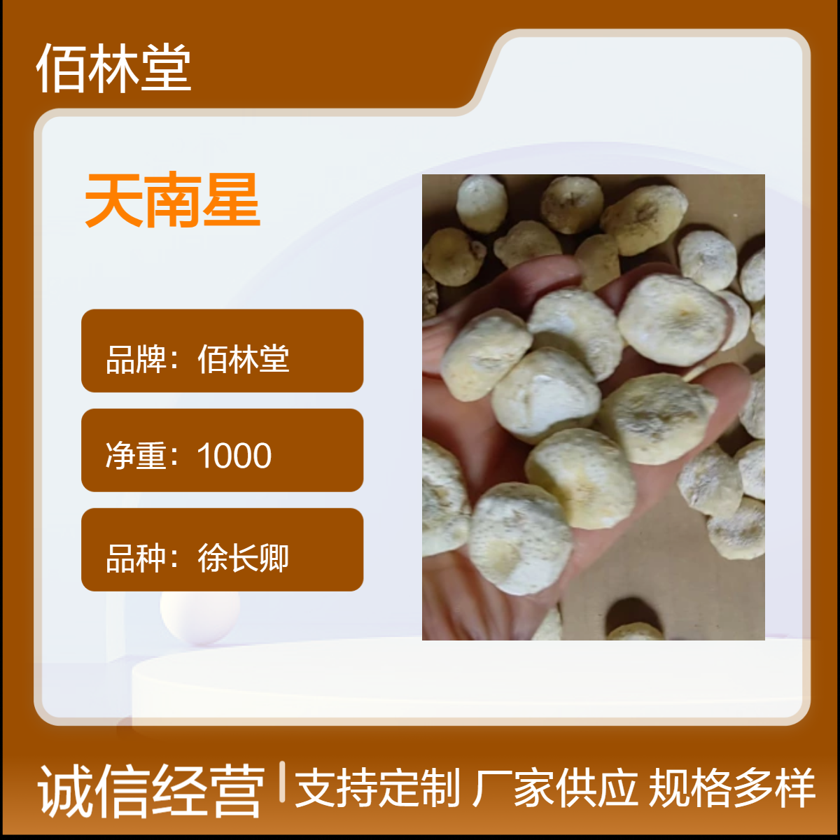 佰林堂一级徐长卿天南星 1000g净重 阴凉干燥储存 初级农产品