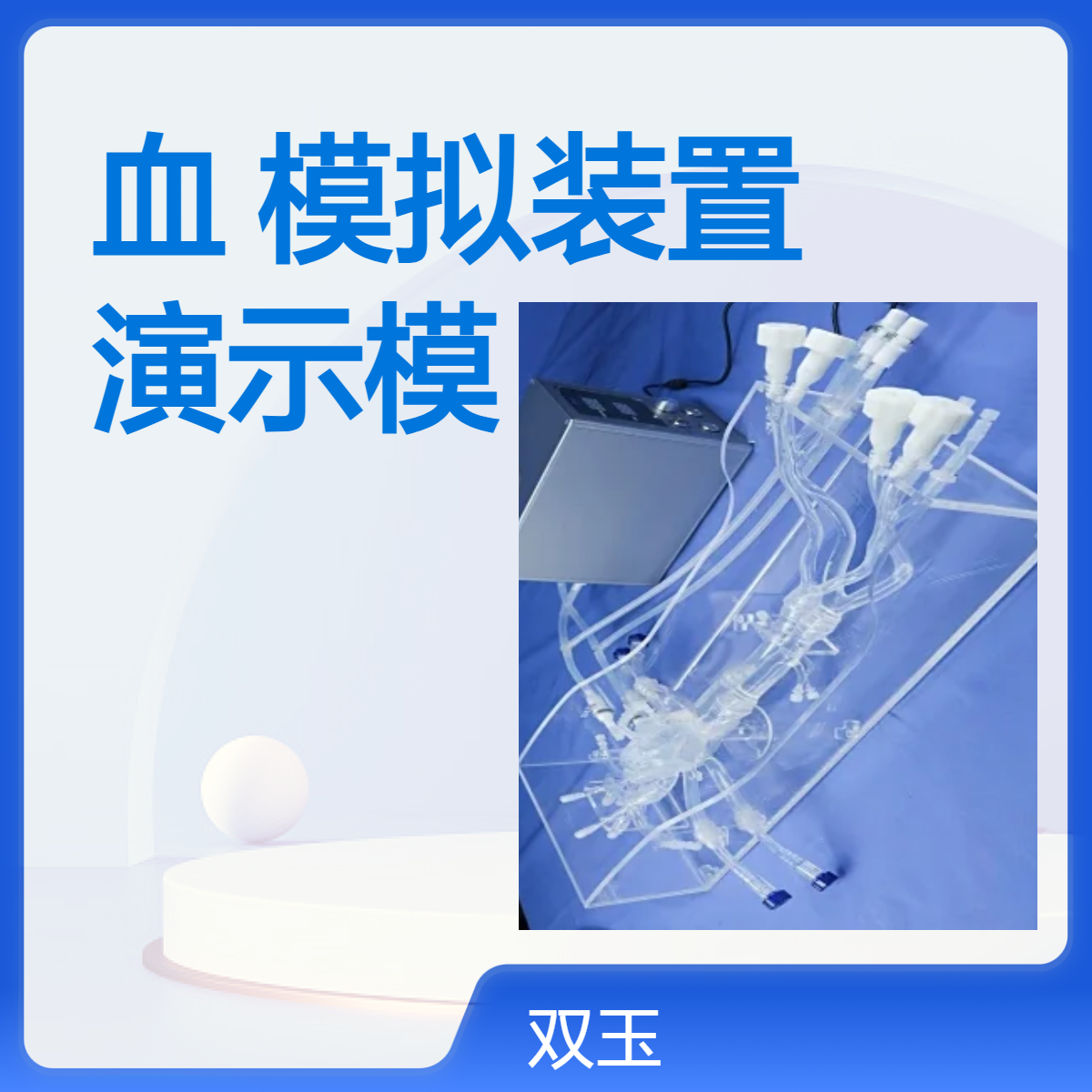 心血管模拟装置内窥镜心脏演示模型电生理心脏模型