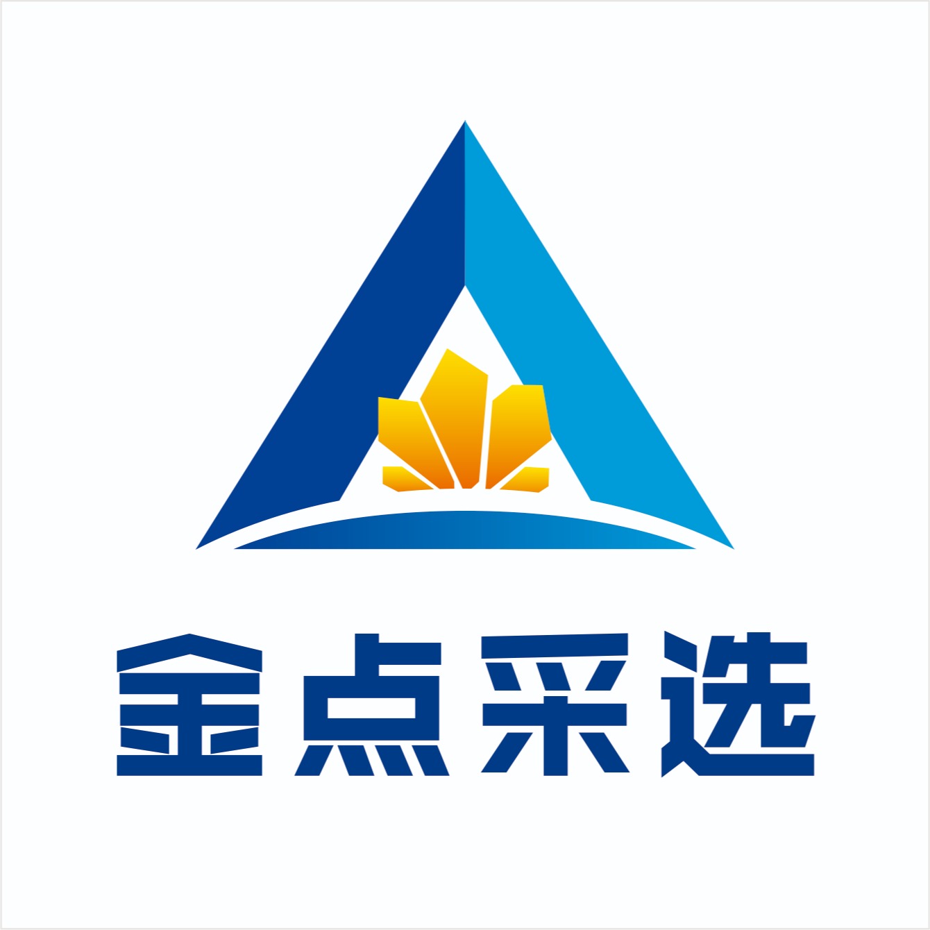 福建金点采选技术服务有限公司