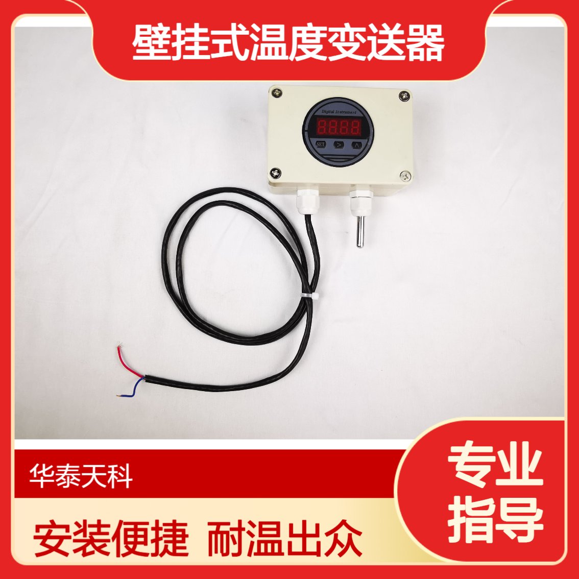 壁挂式温度变送器 TYCO-1100 液晶显示 耐高温 粮食存储可用 安装简单