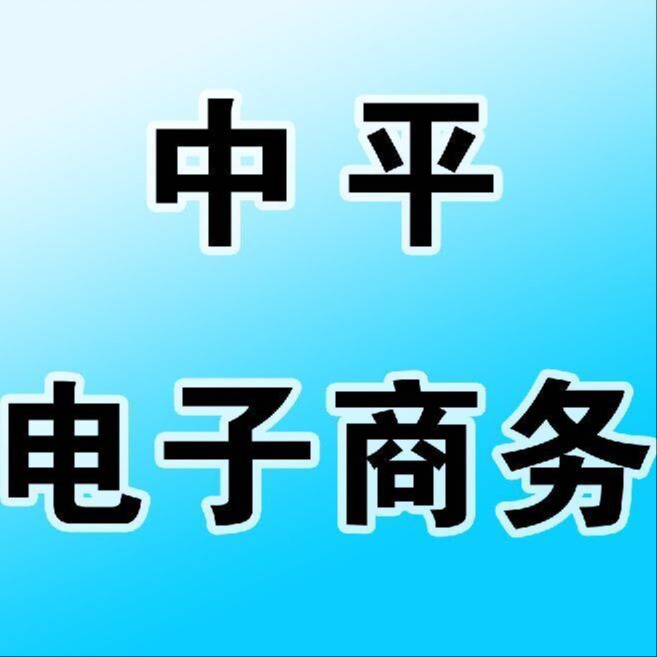 郑州中平电子商务有限公司 - 公司logo