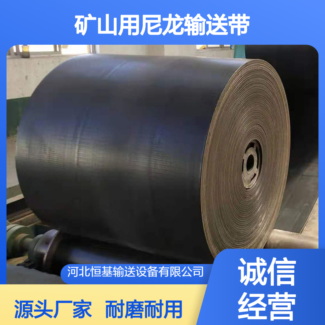 矿山用尼龙输送带 提升机皮带 耐磨工业传送带生产厂家 支持定制