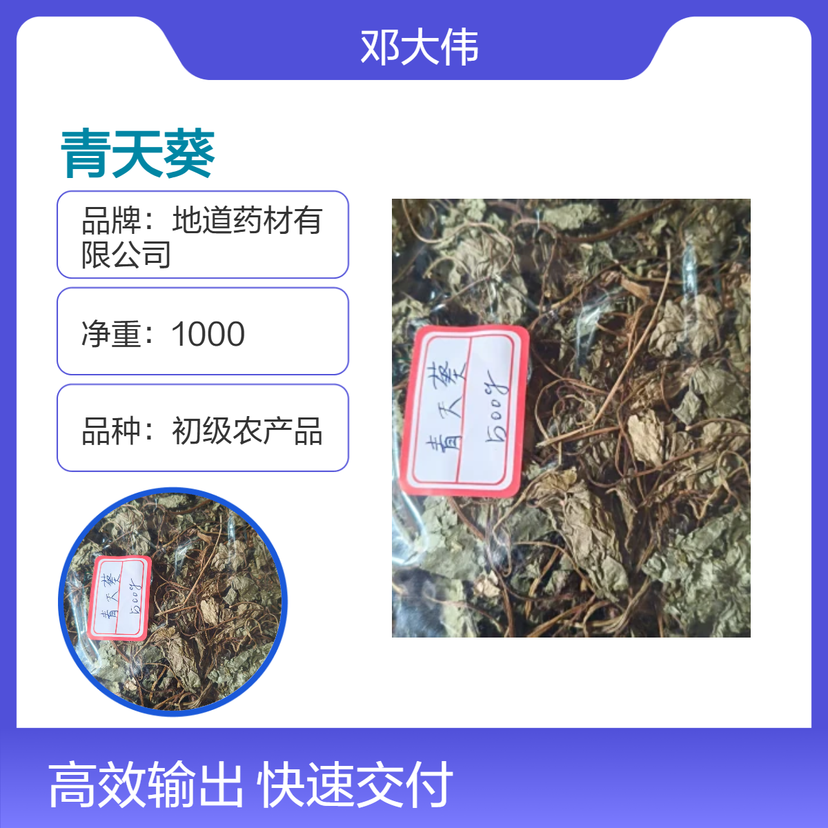 中药材 青天葵产地直供 货源充足 药材地道全国发货