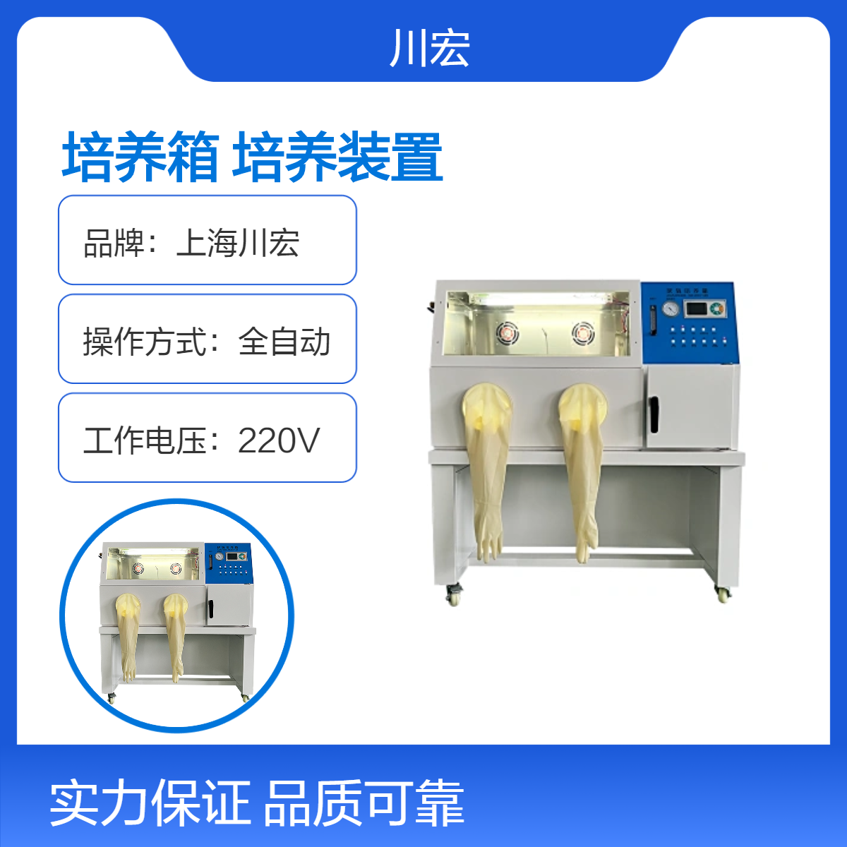 真空厌氧培养箱 无氧环境细菌培养装置 YQX-II