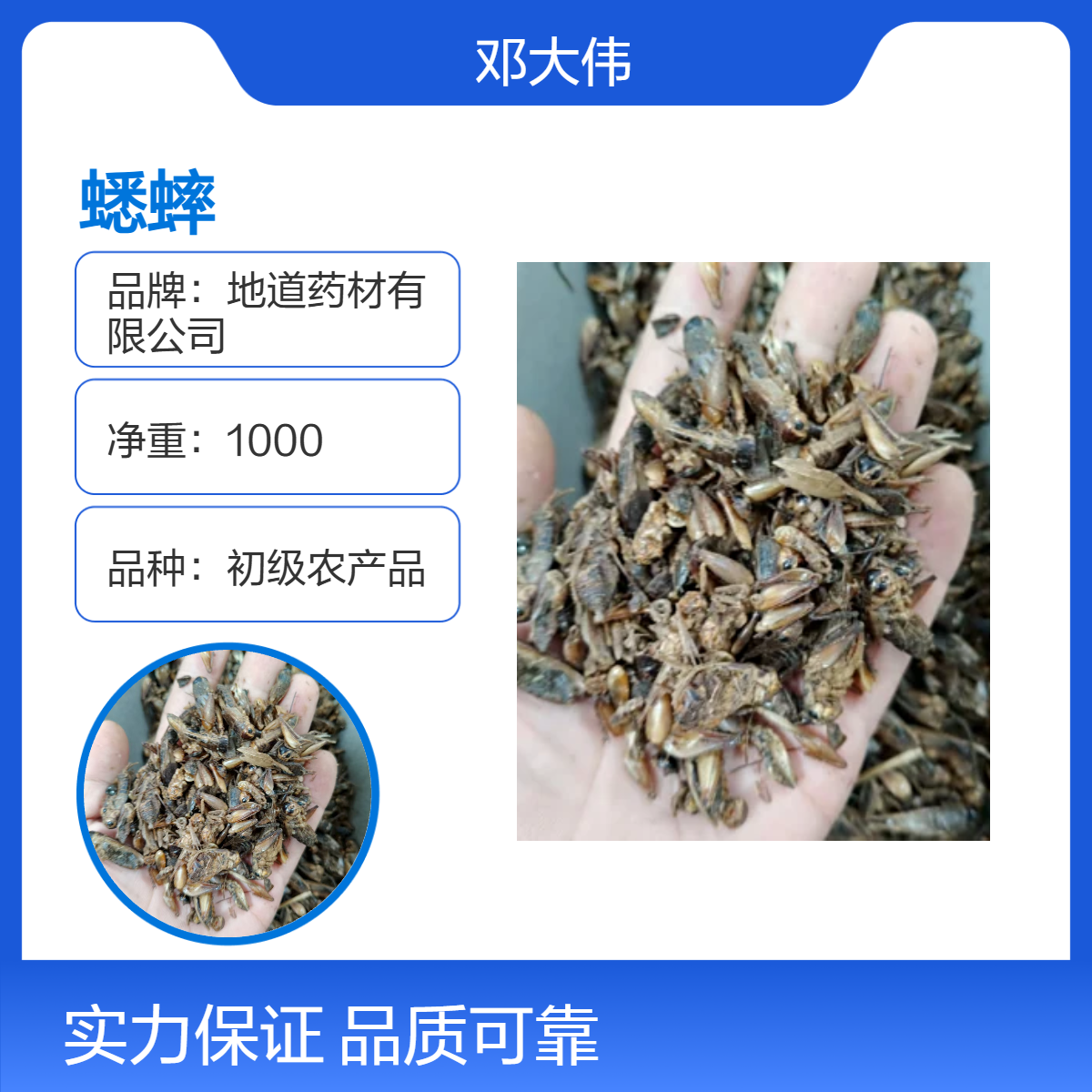 原色蟋蟀批发零售散装 阴凉干燥储存 36个月保质期 优质原药材