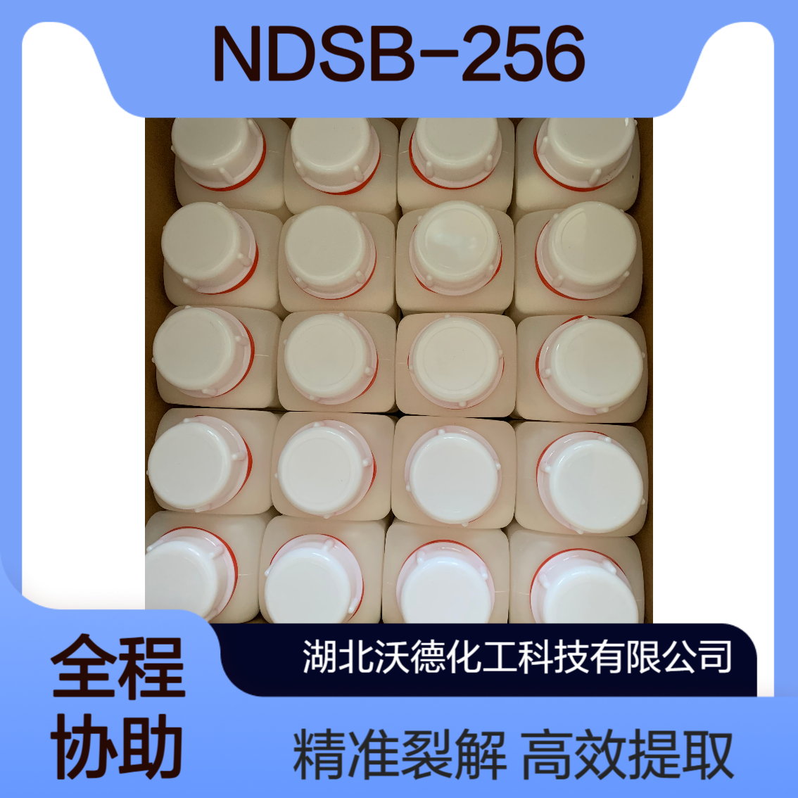 3-(苄基二甲基铵基)丙烷基磺酸81239-45-4蛋白裂解与提取试剂