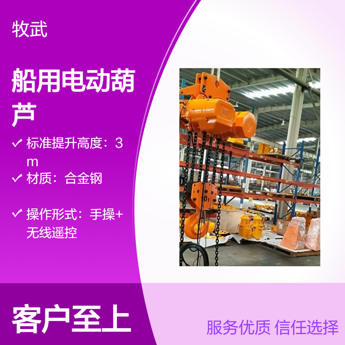10t合金钢环链船用电动葫芦 460V电压 起升9m 稳定耐用 CCS证书