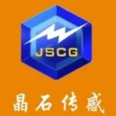广州晶石传感技术有限公司 - 公司logo