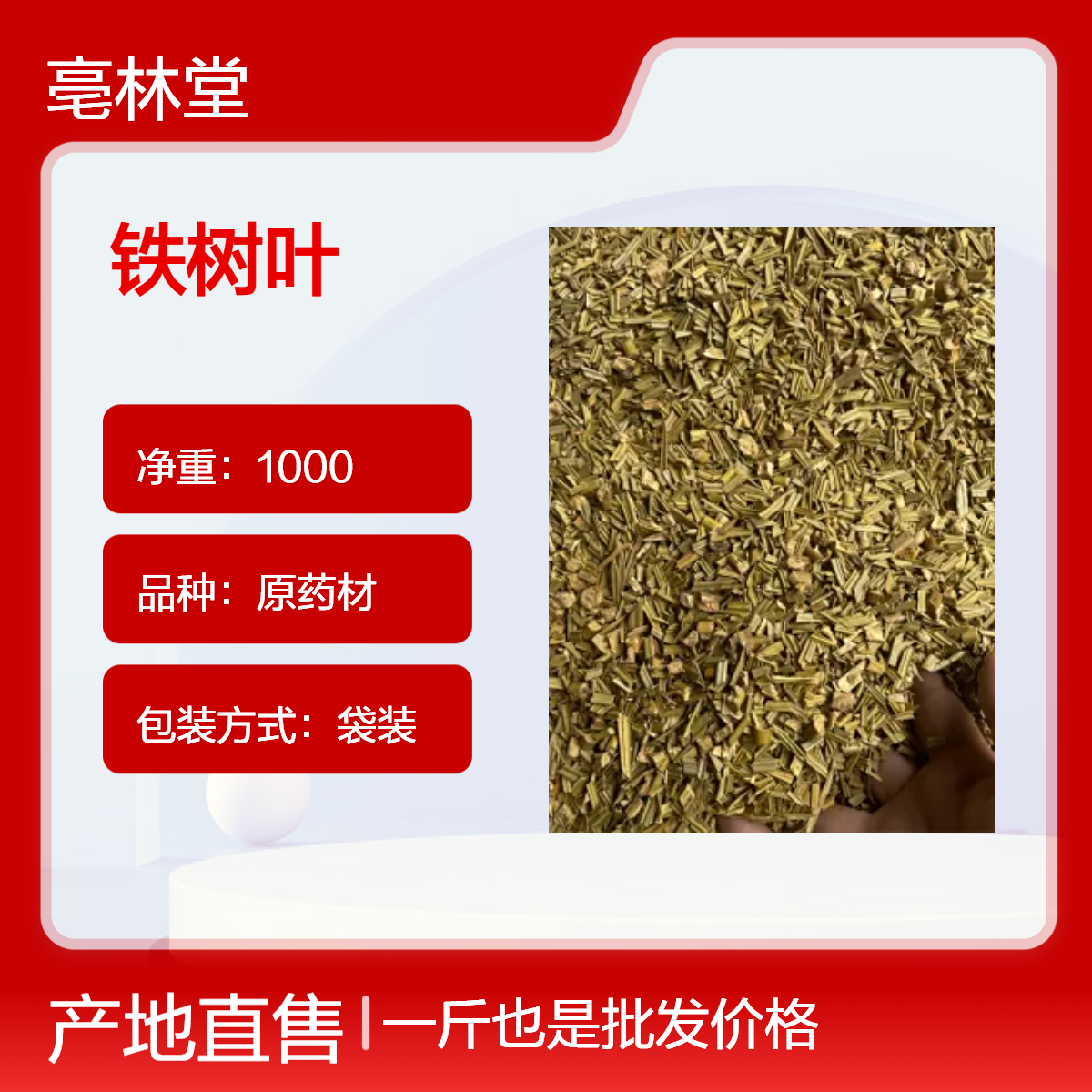 亳林堂中药材批发 铁树叶 选货 无硫无熏 含量高 规格齐全 包邮