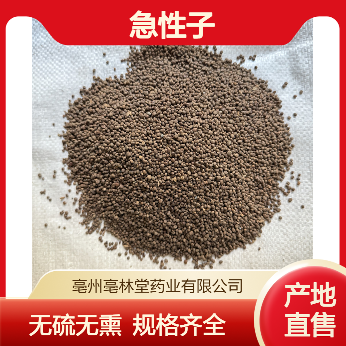 亳林堂中药材批发 急性子 选货 无硫无熏 含量高 规格齐全 包邮
