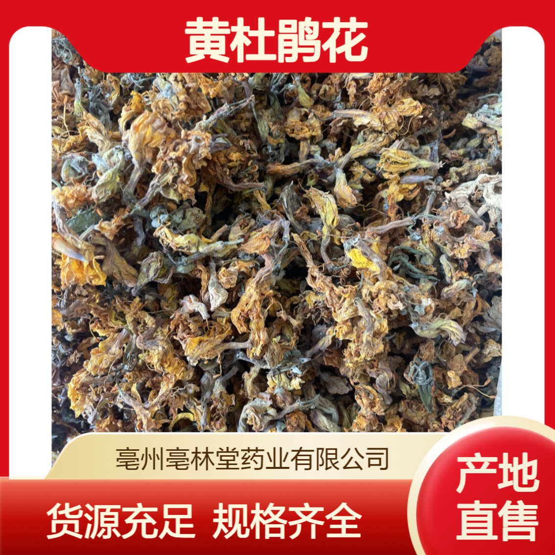 亳林堂中药材批发 黄杜鹃花 选货 无硫无熏 含量高 规格齐全 包邮