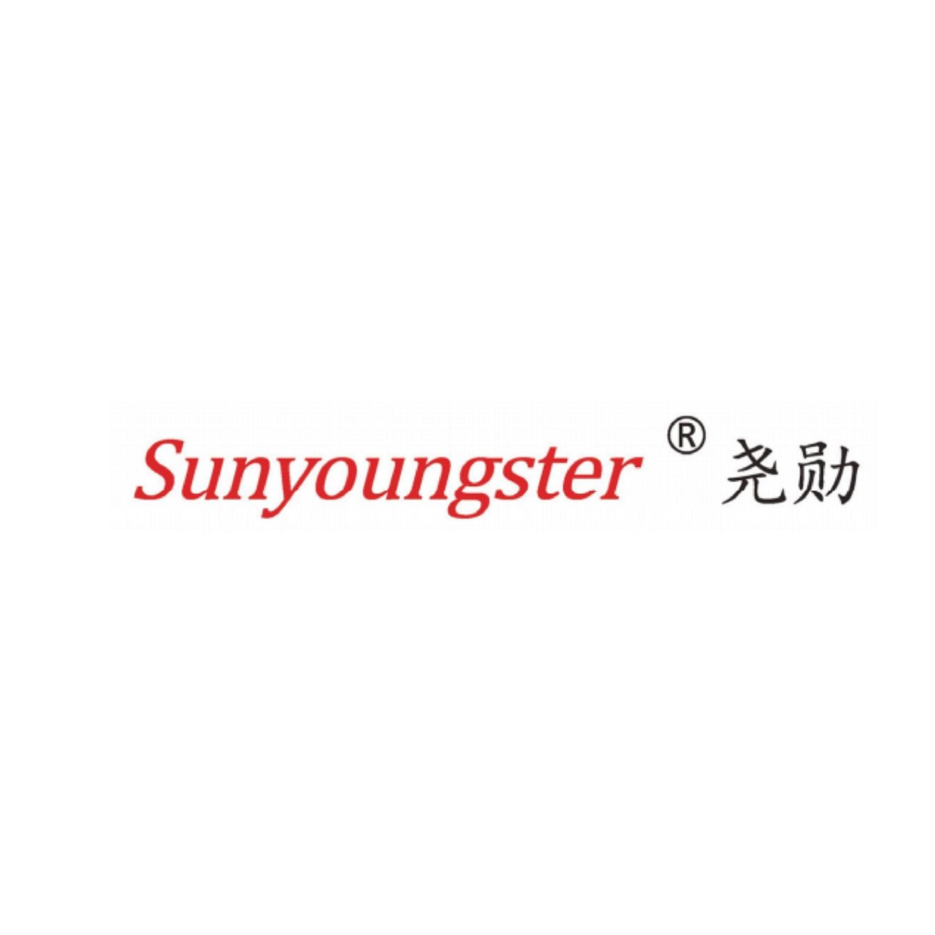 上海尧勋智能科技有限公司 - 公司logo