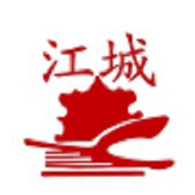 武汉市黄陂区江城化工有限责任公司 - 公司logo