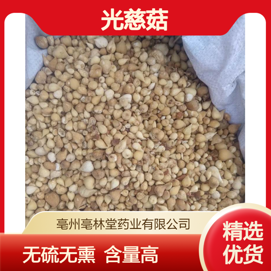 亳林堂中药材批发 光慈菇 精选货 无硫无熏 含量高 规格齐全 包邮