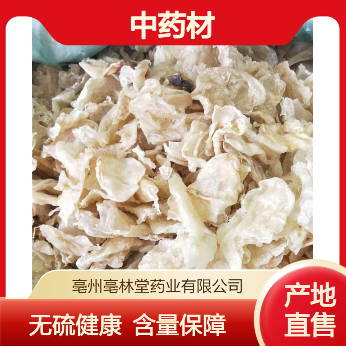 亳林堂中药材批发 鱼膘 选货 无硫无熏 含量高 规格齐全 包邮
