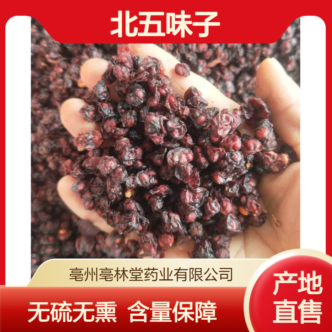 亳林堂中药材批发 北五味子 选货 无硫无熏 含量高 规格齐全 包邮