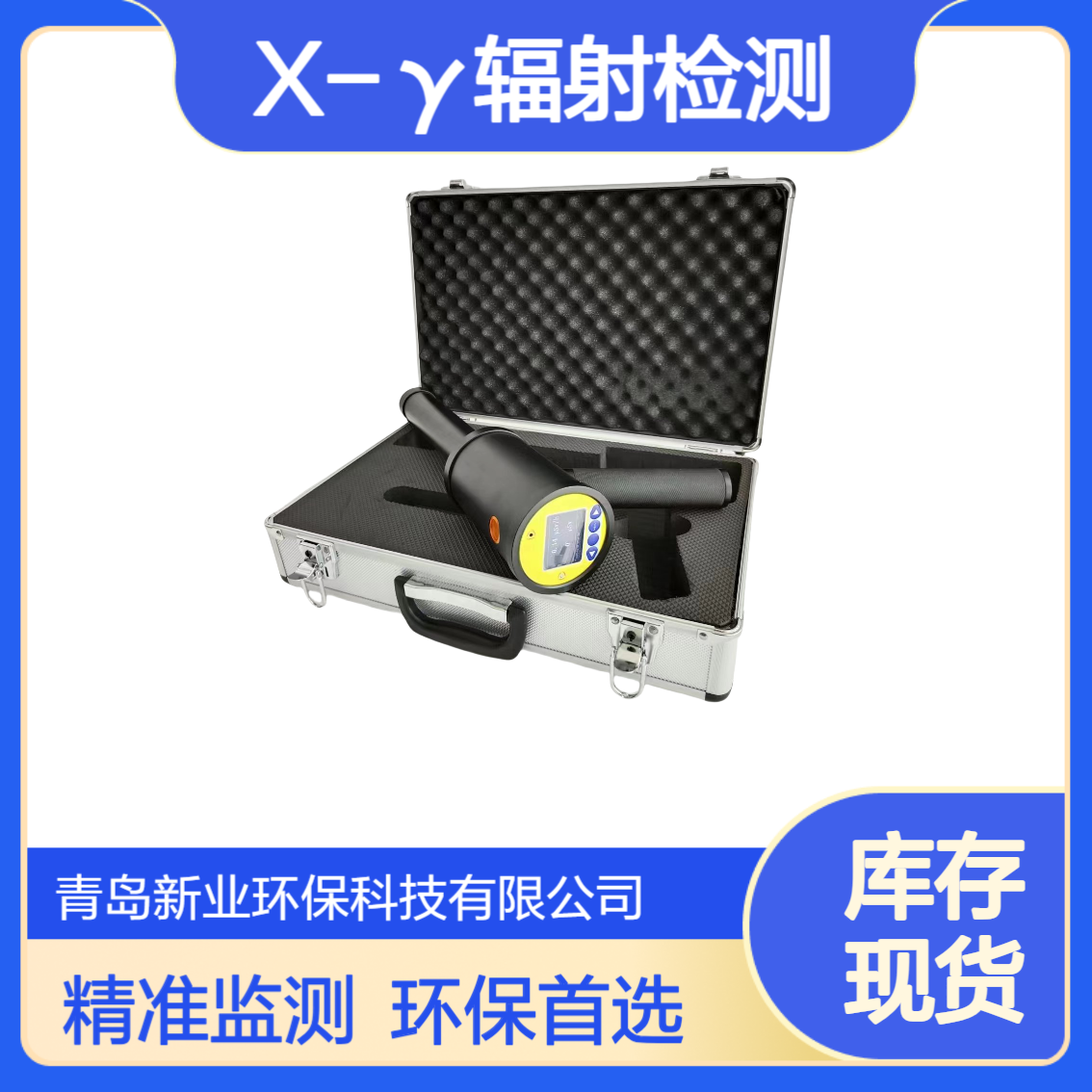 环境放射性物质监测环境检测XY-6500RP型 X-γ辐射剂量率仪 辐射仪