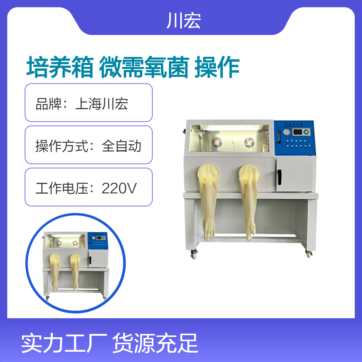 厌氧培养箱 YQX-II 真空微需氧菌培养及操作装置