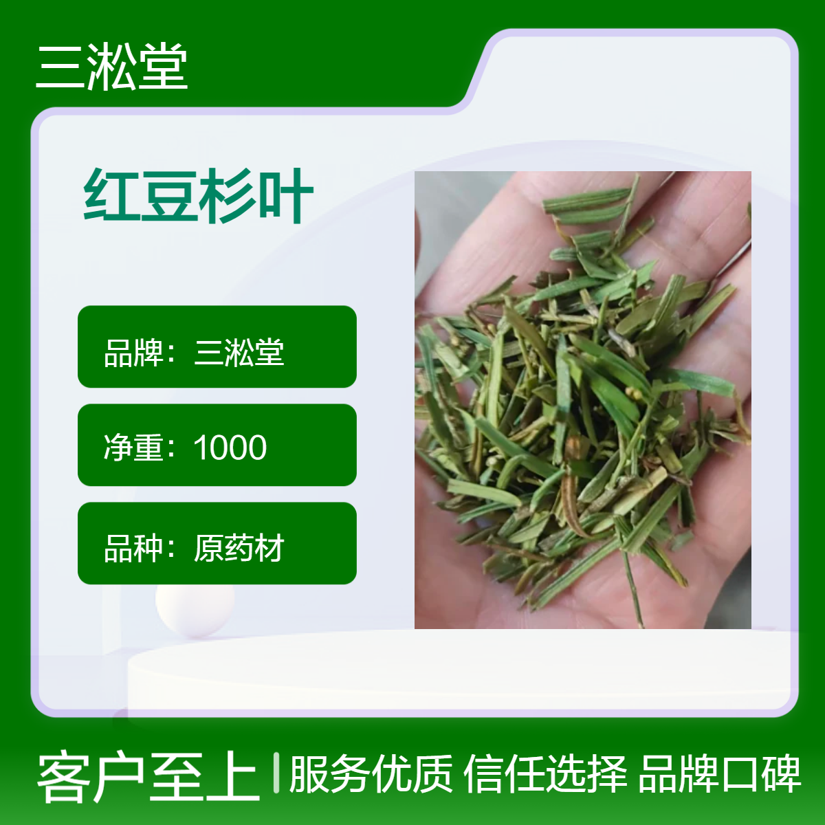 三淞堂一级红豆杉叶 原药材初级农产品 阴凉干燥储存